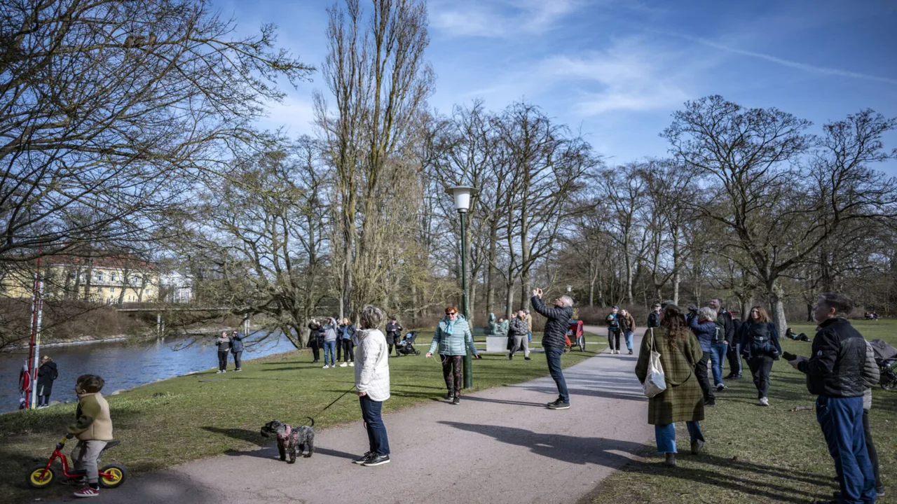 ترقب لموجة طقس دافئة مع اقتراب فصل الربيع من أجزاء واسعة في السويد